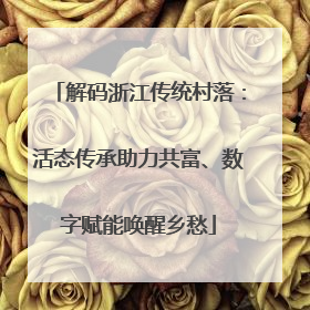 解码浙江传统村落：活态传承助力共富、数字赋能唤醒乡愁