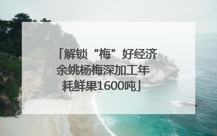 解锁“梅”好经济 余姚杨梅深加工年耗鲜果1600吨