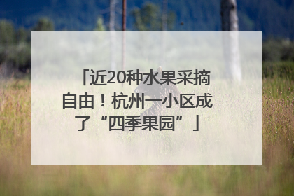 近20种水果采摘自由！杭州一小区成了“四季果园”