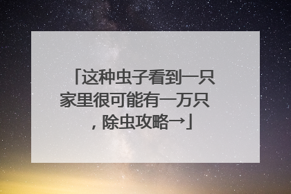 这种虫子看到一只家里很可能有一万只，除虫攻略→