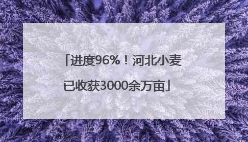 进度96%！河北小麦已收获3000余万亩