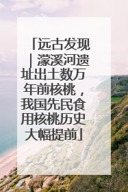 远古发现｜濛溪河遗址出土数万年前核桃，我国先民食用核桃历史大幅提前