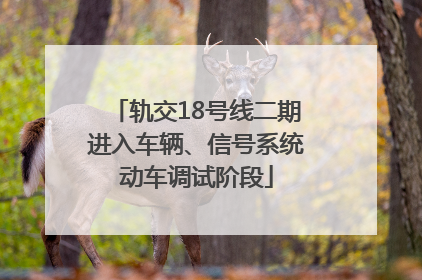 轨交18号线二期进入车辆、信号系统动车调试阶段