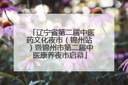 辽宁省第二届中医药文化夜市（锦州站）暨锦州市第二届中医康养夜市启幕
