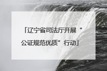 辽宁省司法厅开展“公证规范优质”行动
