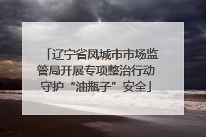 辽宁省凤城市市场监管局开展专项整治行动守护“油瓶子”安全