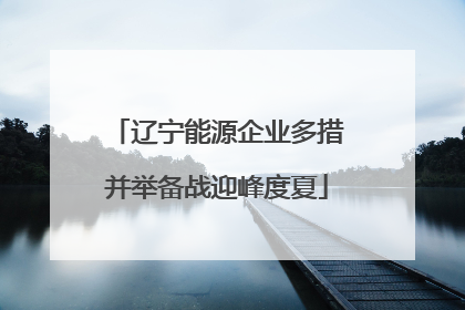 辽宁能源企业多措并举备战迎峰度夏