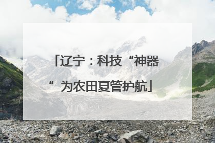 辽宁：科技“神器”为农田夏管护航