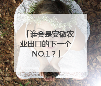 谁会是安徽农业出口的下一个NO.1？