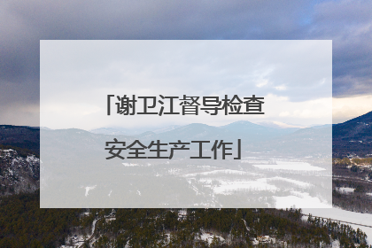 谢卫江督导检查安全生产工作