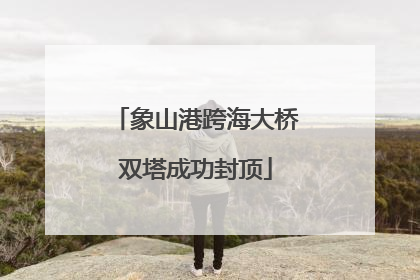 象山港跨海大桥双塔成功封顶