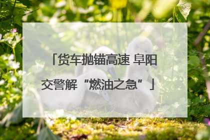 货车抛锚高速 阜阳交警解“燃油之急”