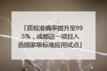 质检准确率提升至99.5%，成都这一项目入选国家级标准应用试点