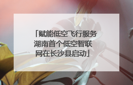 赋能低空飞行服务 湖南首个低空智联网在长沙县启动