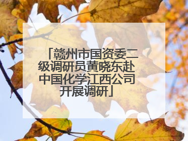 赣州市国资委二级调研员黄晓东赴中国化学江西公司开展调研