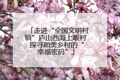 走进“全国文明村镇”庐山西海上畈村 探寻和美乡村的“幸福密码”