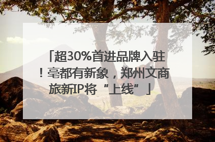 超30%首进品牌入驻！亳都有新象，郑州文商旅新IP将“上线”