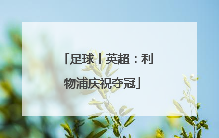 足球丨英超：利物浦庆祝夺冠