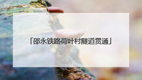 邵永铁路荷叶村隧道贯通
