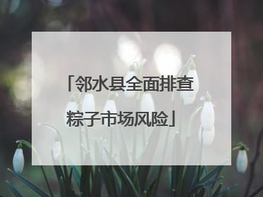 邻水县全面排查粽子市场风险