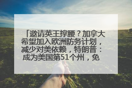 邀请英王撑腰？加拿大希望加入欧洲防务计划，减少对美依赖，特朗普：成为美国第51个州，免费用“金穹”