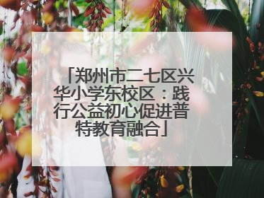 郑州市二七区兴华小学东校区：践行公益初心促进普特教育融合