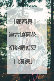 郧西县上津古镇荷花初绽邂逅夏日浪漫