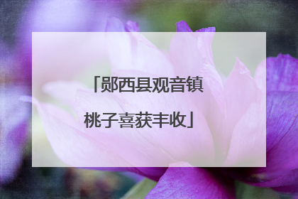 郧西县观音镇桃子喜获丰收