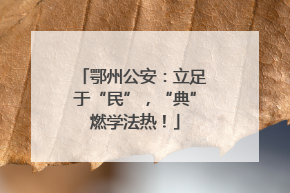 鄂州公安：立足于“民”，“典”燃学法热！