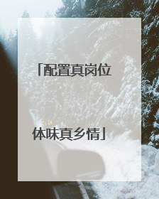 配置真岗位 体味真乡情