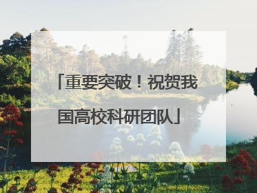 重要突破！祝贺我国高校科研团队