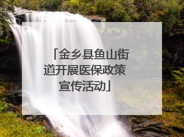 金乡县鱼山街道开展医保政策宣传活动
