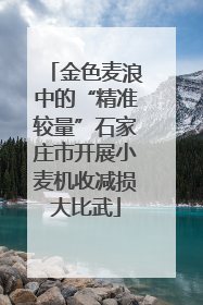 金色麦浪中的“精准较量”石家庄市开展小麦机收减损大比武