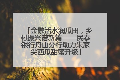 金融活水润瓜田，乡村振兴谱新篇——民泰银行舟山分行助力朱家尖西瓜甜蜜升级