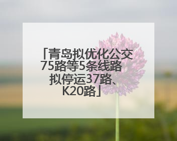 青岛拟优化公交75路等5条线路 拟停运37路、K20路