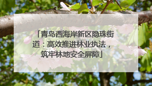青岛西海岸新区隐珠街道：高效推进林业执法，筑牢林地安全屏障