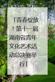 青春绽放！第十一届湖南省青年文化艺术活动总决赛举行