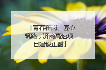 青春在岗、匠心筑路，济商高速项目建设正酣