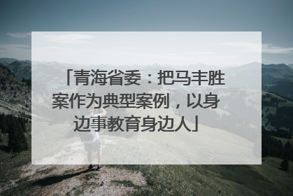 青海省委：把马丰胜案作为典型案例，以身边事教育身边人