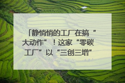 静悄悄的工厂在搞“大动作”！这家“零碳工厂”以“三创三增”探索共富新路径｜网络名人四川行