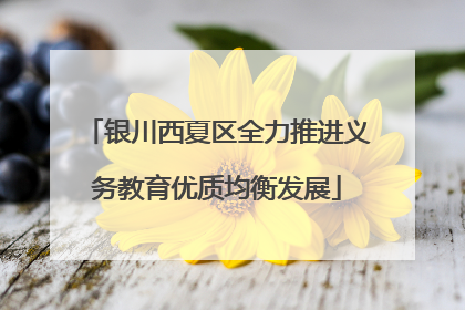 银川西夏区全力推进义务教育优质均衡发展