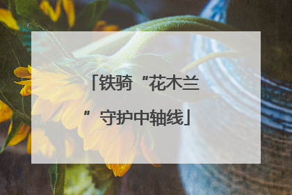 铁骑“花木兰”守护中轴线
