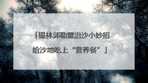 锡林郭勒盟治沙小妙招 给沙地吃上“营养餐”
