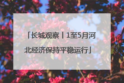 长城观察丨1至5月河北经济保持平稳运行
