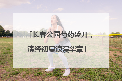长春公园芍药盛开，演绎初夏浪漫华章