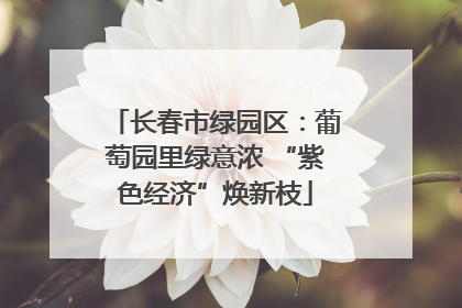 长春市绿园区：葡萄园里绿意浓 “紫色经济”焕新枝