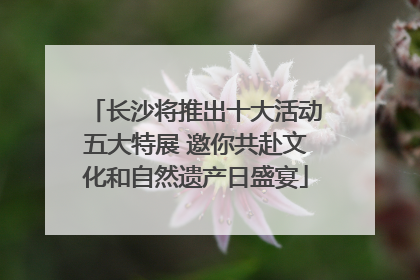 长沙将推出十大活动五大特展 邀你共赴文化和自然遗产日盛宴