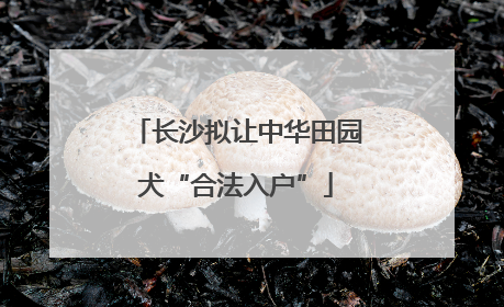 长沙拟让中华田园犬“合法入户”