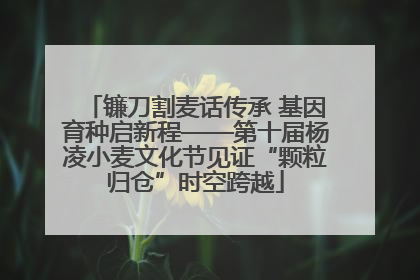 镰刀割麦话传承 基因育种启新程——第十届杨凌小麦文化节见证“颗粒归仓”时空跨越