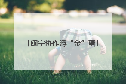 闽宁协作孵“金”蛋